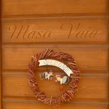 Maso Vaia Bed and Breakfast Cavalese Exterior foto