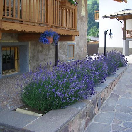 Maso Vaia Bed and Breakfast Cavalese Exterior foto