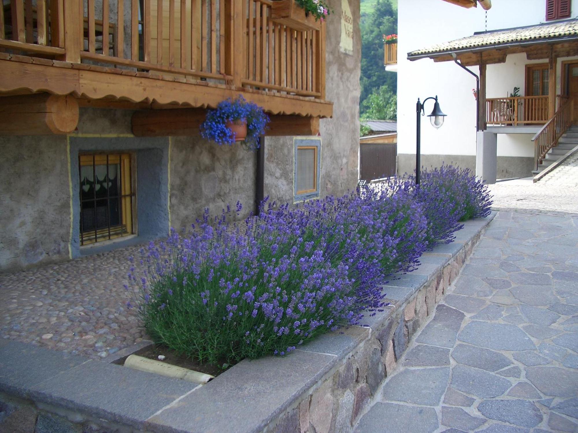 Maso Vaia Bed and Breakfast Cavalese Exterior foto